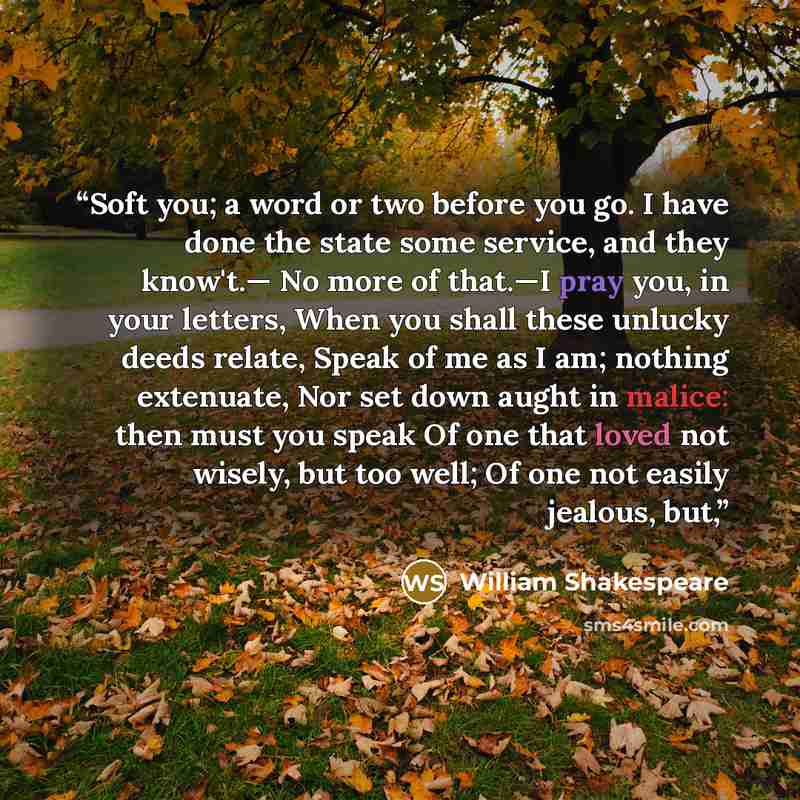 “Soft you; a word or two before you go. I have done the state some service, and they know't.— No more of that.—I pray you, in your letters, When you shall these unlucky deeds relate, Speak of me as I am; nothing extenuate, Nor set down aught in malice: then must you speak Of one that loved not…” quote by William Shakespeare