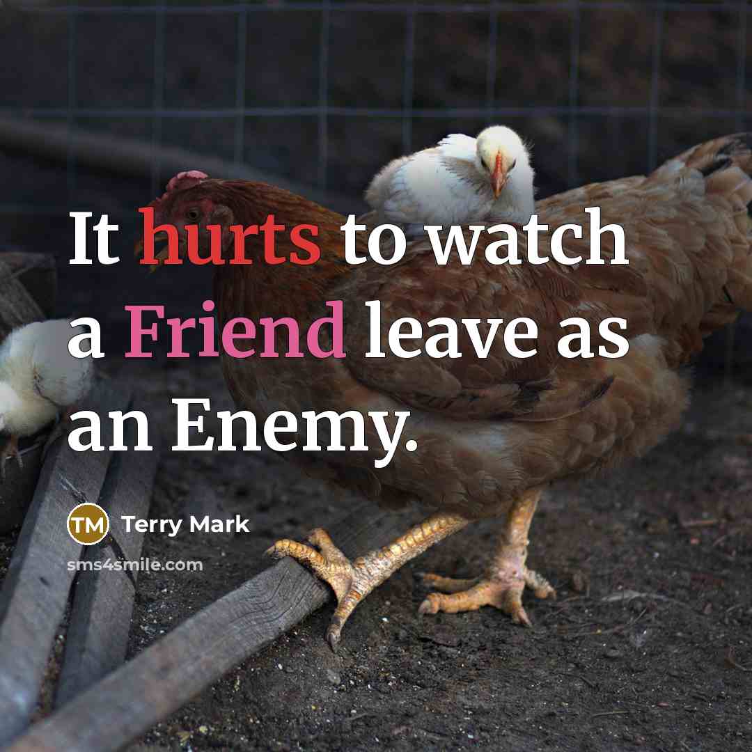 “It hurts to watch a Friend leave as an Enemy.” quote by Terry Mark