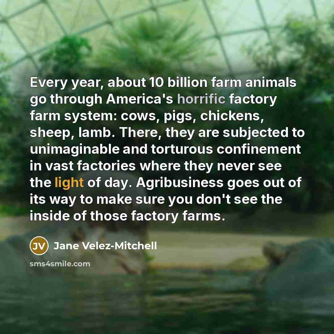 “Every year, about 10 billion farm animals go through America's horrific factory farm system: cows, pigs, chickens, sheep, lamb. There, they are subjected to unimaginable and torturous confinement in vast factories where they never see the light of day. Agribusiness goes out of its way to make sure…” quote by Jane Velez-Mitchell