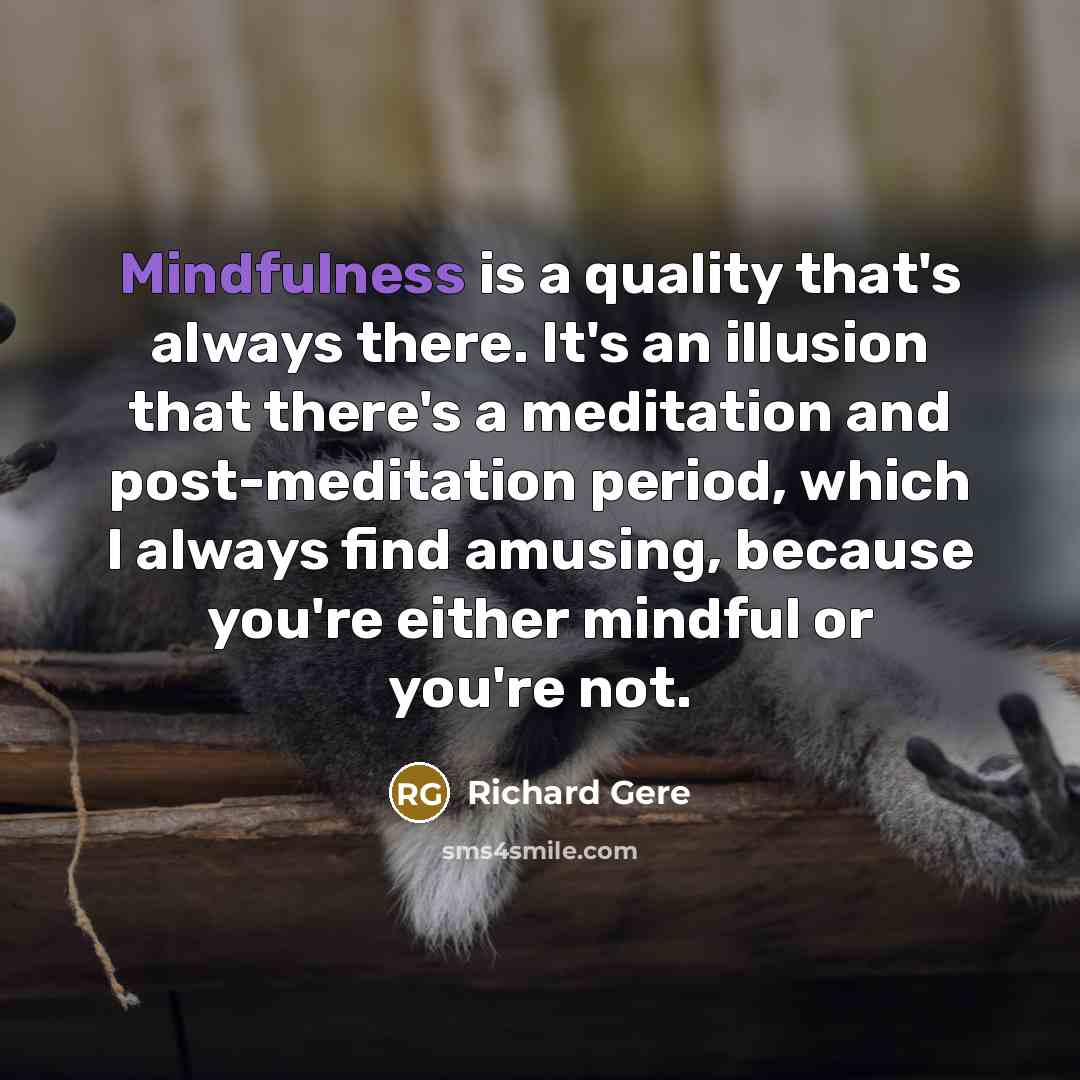“Mindfulness is a quality that's always there. It's an illusion that there's a meditation and post-meditation period, which I always find amusing, because you're either mindful or you're not.” quote by Richard Gere