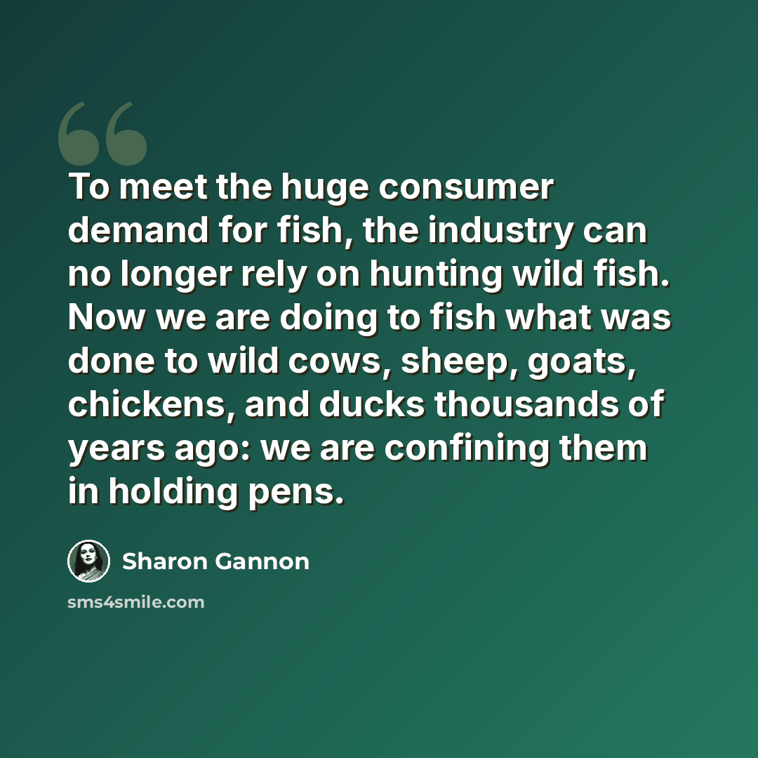 “To meet the huge consumer demand for fish, the industry can no longer rely on hunting wild fish. Now we are doing to fish what was done to wild cows, sheep, goats, chickens, and ducks thousands of years ago: we are confining them in holding pens.” quote by Sharon Gannon