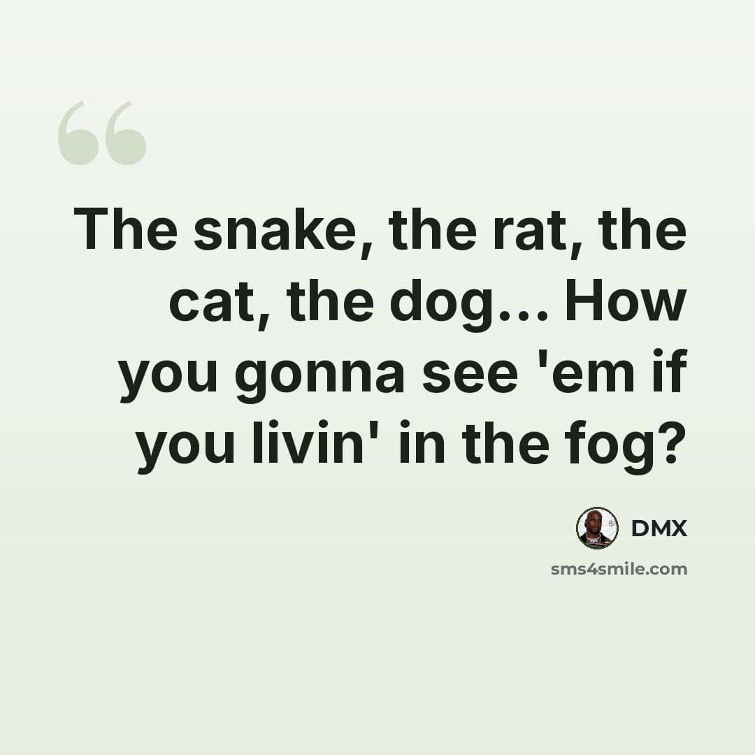 “The snake, the rat, the cat, the dog... How you gonna see 'em if you livin' in the fog?” quote by DMX