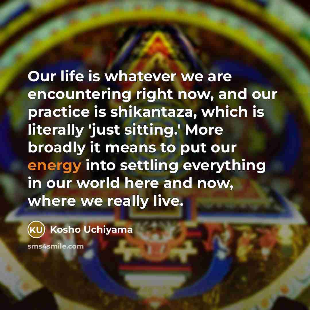 “Our life is whatever we are encountering right now, and our practice is shikantaza, which is literally 'just sitting.' More broadly it means to put our energy into settling everything in our world here and now, where we really live.” quote by Kosho Uchiyama