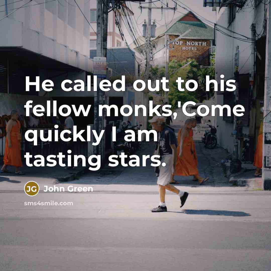 “He called out to his fellow monks,'Come quickly I am tasting stars.” quote by John Green