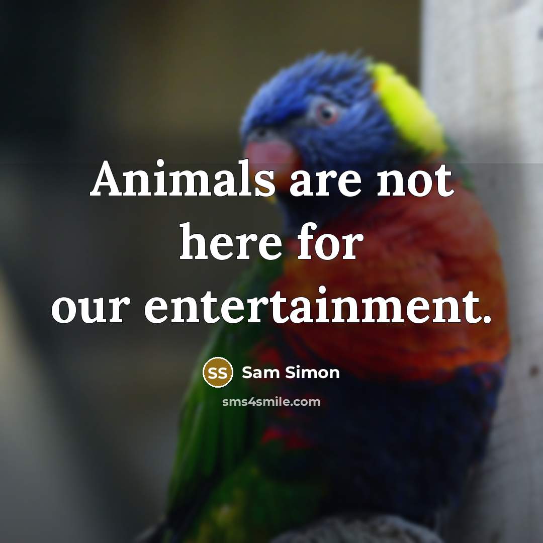 “Animals are not here for our entertainment.” quote by Sam Simon