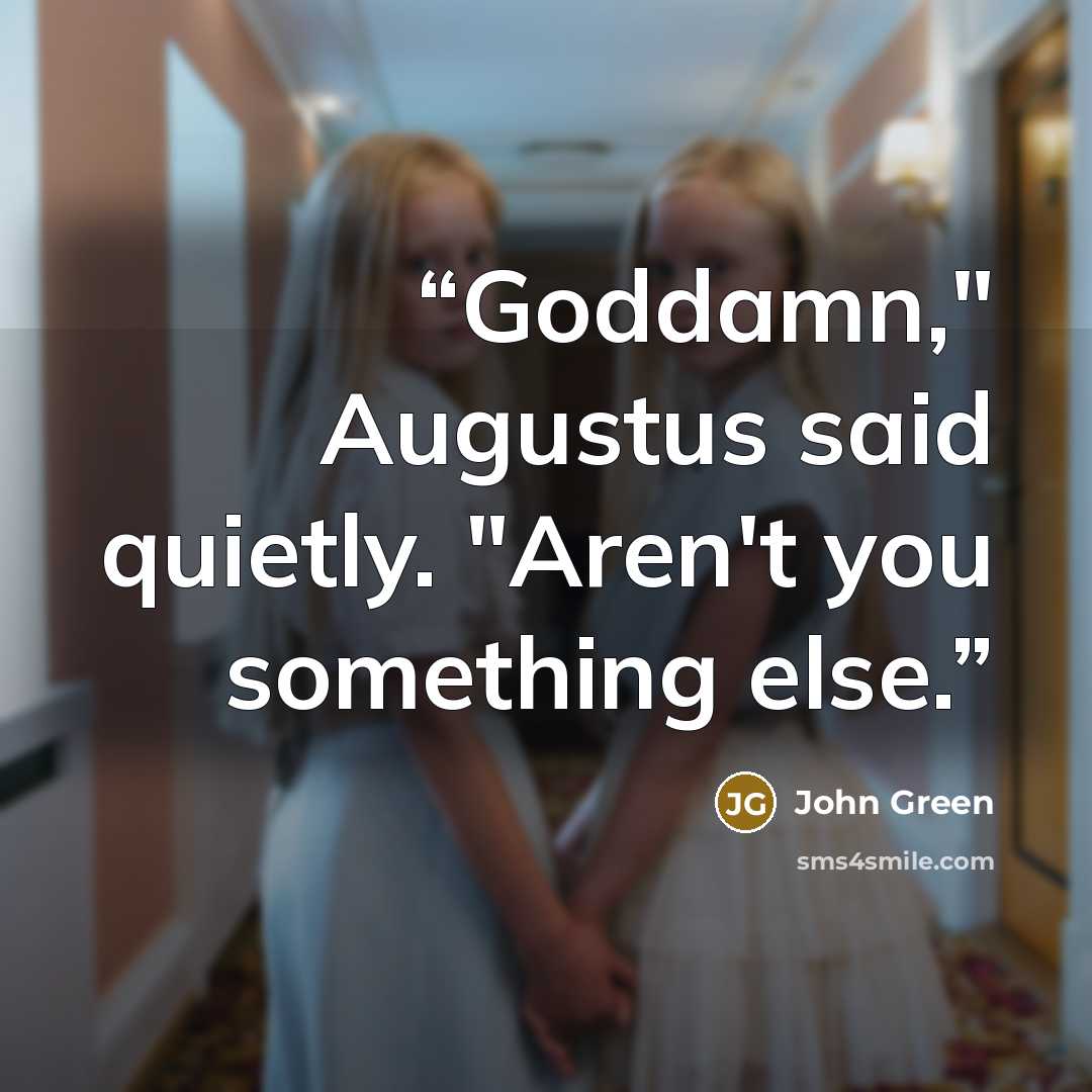 “Goddamn," Augustus said quietly. "Aren't you something else.” quote by John Green