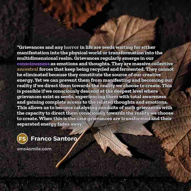 “Grievances and any horror in life are seeds waiting for either manifestation into the physical world or transformation into the multidimensional realm. Grievances regularly emerge in our consciousness as emotions and thoughts. They are massive collective ancestral forces that keep being recycled…” quote by Franco Santoro