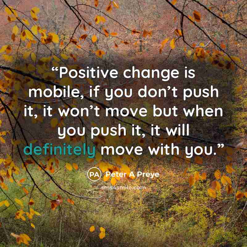 “Positive change is mobile, if you don’t push it, it won’t move but when you push it, it will definitely move with you.” quote by Peter A Preye
