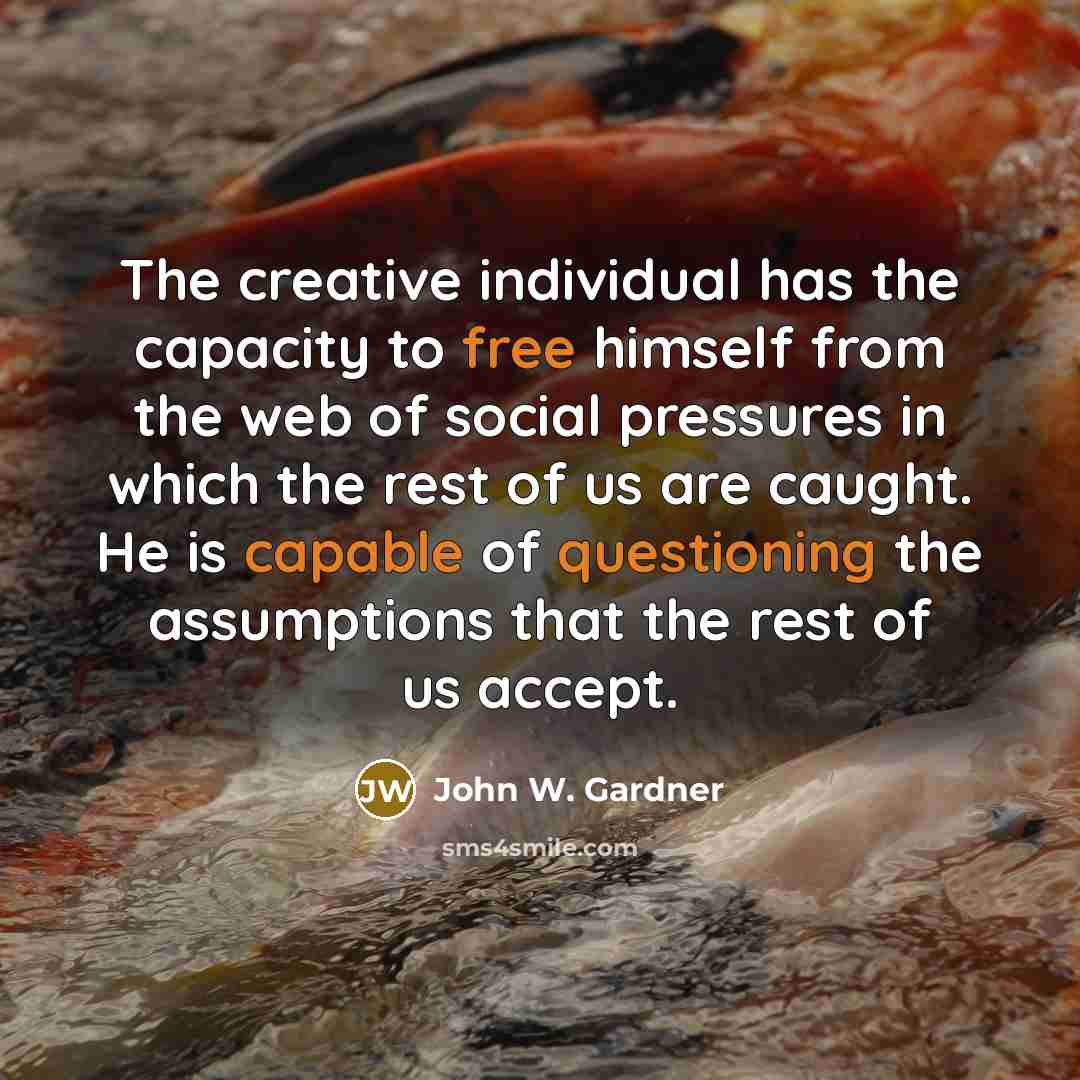 “The creative individual has the capacity to free himself from the web of social pressures in which the rest of us are caught. He is capable of questioning the assumptions that the rest of us accept.” quote by John W. Gardner