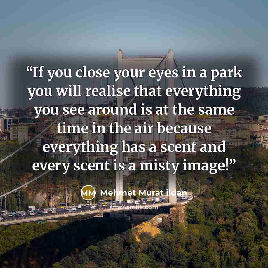 “If you close your eyes in a park you will realise that everything you see around is at the same time in the air because everything has a scent and every scent is a misty image!” quote by Mehmet Murat ildan