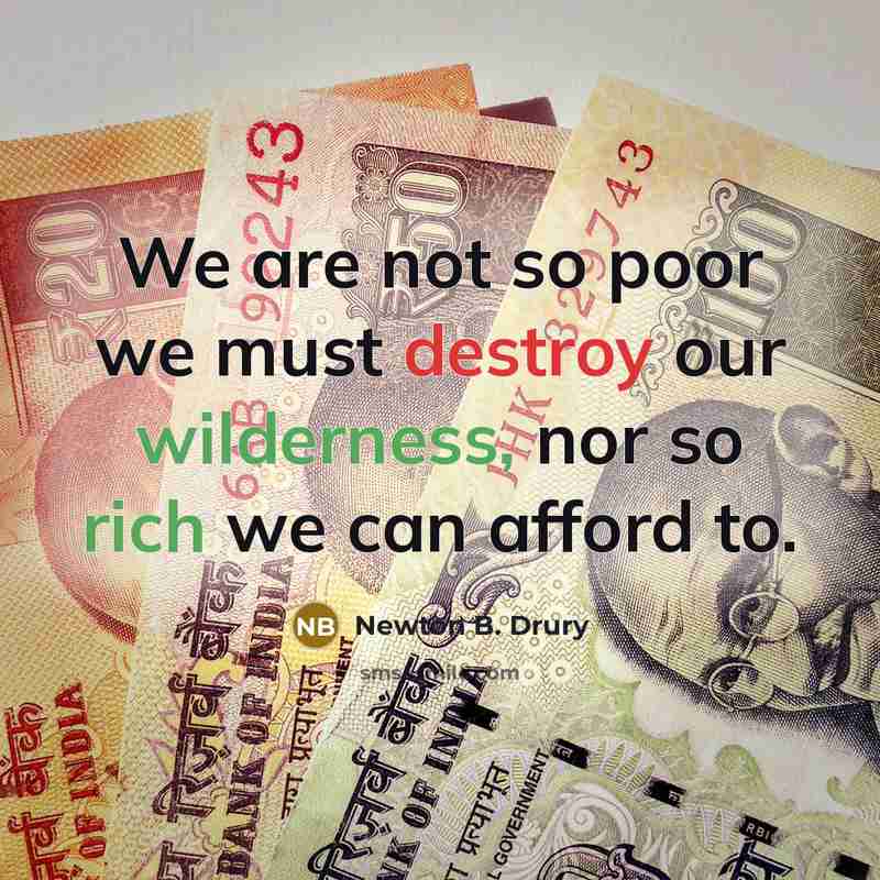 “We are not so poor we must destroy our wilderness, nor so rich we can afford to.” quote by Newton B. Drury
