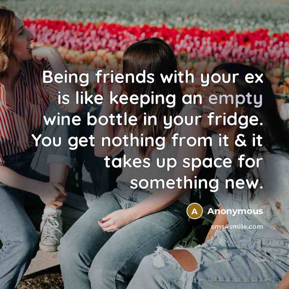 “Being friends with your ex is like keeping an empty wine bottle in your fridge. You get nothing from it & it takes up space for something new.” quote by Anonymous