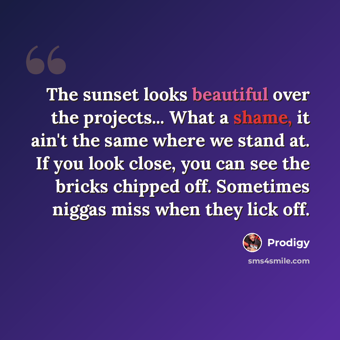 “The sunset looks beautiful over the projects... What a shame, it ain't the same where we stand at. If you look close, you can see the bricks chipped off. Sometimes niggas miss when they lick off.” quote by Prodigy