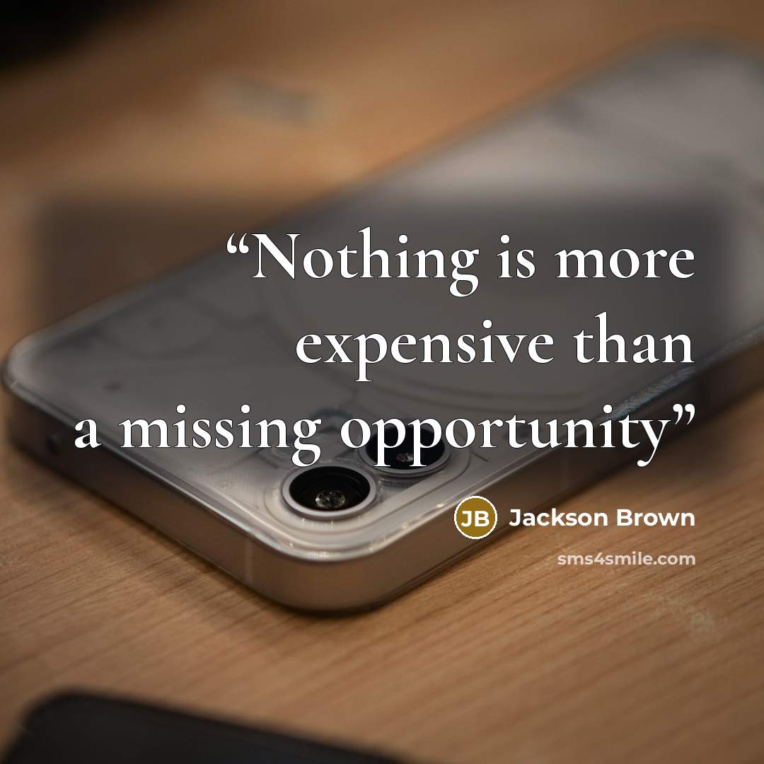 “Nothing is more expensive than a missing opportunity” quote by Jackson Brown