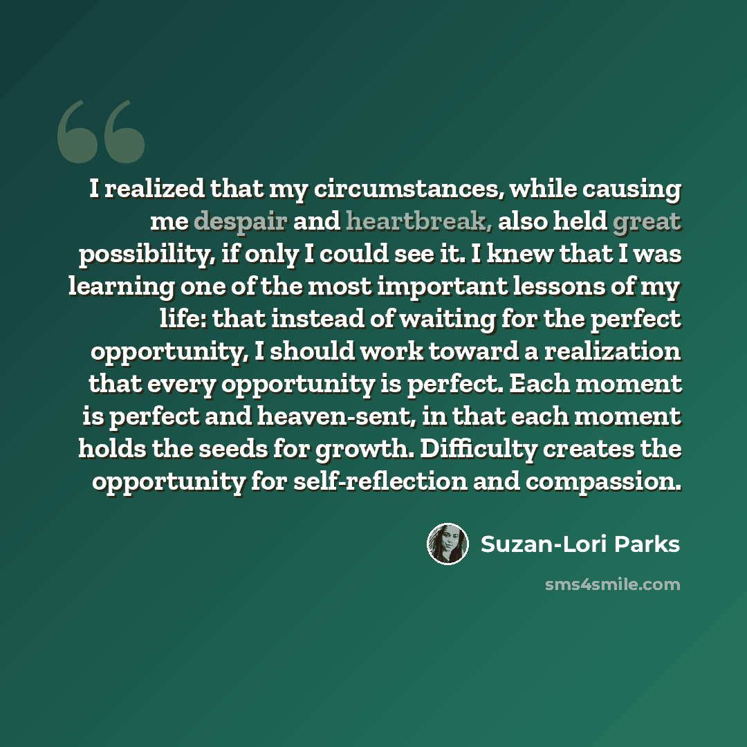“I realized that my circumstances, while causing me despair and heartbreak, also held great possibility, if only I could see it. I knew that I was learning one of the most important lessons of my life: that instead of waiting for the perfect opportunity, I should work toward a realization that…” quote by Suzan-Lori Parks