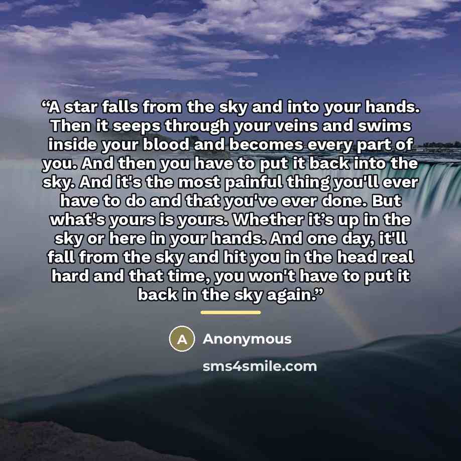 “A star falls from the sky and into your hands. Then it seeps through your veins and swims inside your blood and becomes every part of you. And then you have to put it back into the sky. And it's the most painful thing you'll ever have to do and that you've ever done. But what's yours is yours…” quote by Anonymous