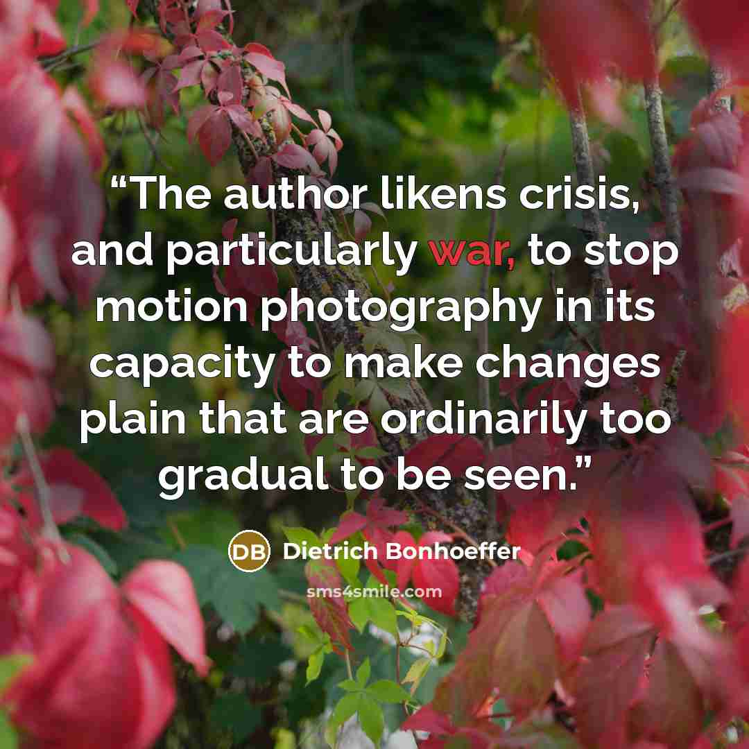 “The author likens crisis, and particularly war, to stop motion photography in its capacity to make changes plain that are ordinarily too gradual to be seen.” quote by Dietrich Bonhoeffer