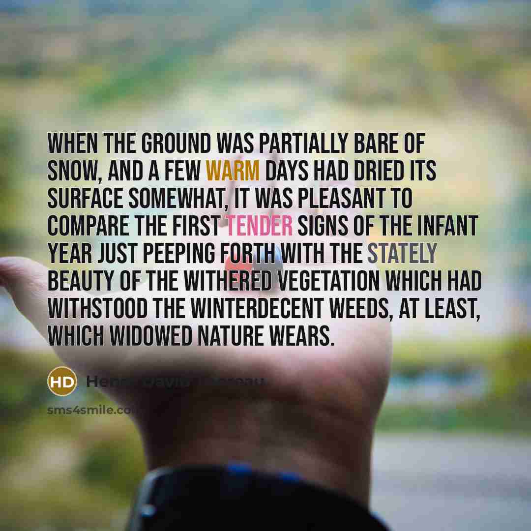 “When the ground was partially bare of snow, and a few warm days had dried its surface somewhat, it was pleasant to compare the first tender signs of the infant year just peeping forth with the stately beauty of the withered vegetation which had withstood the winterdecent weeds, at least, which…” quote by Henry David Thoreau