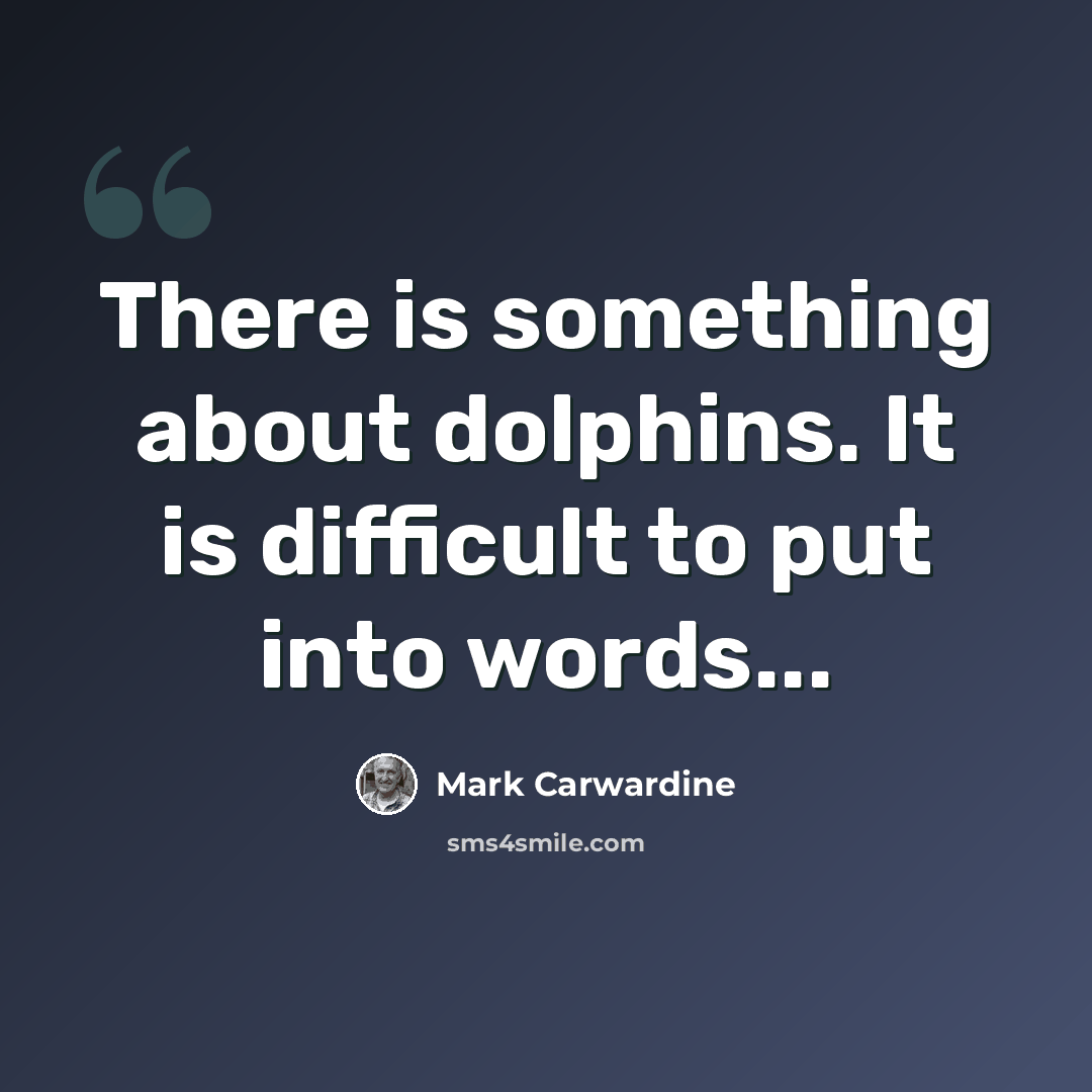 “There is something about dolphins. It is difficult to put into words...” quote by Mark Carwardine