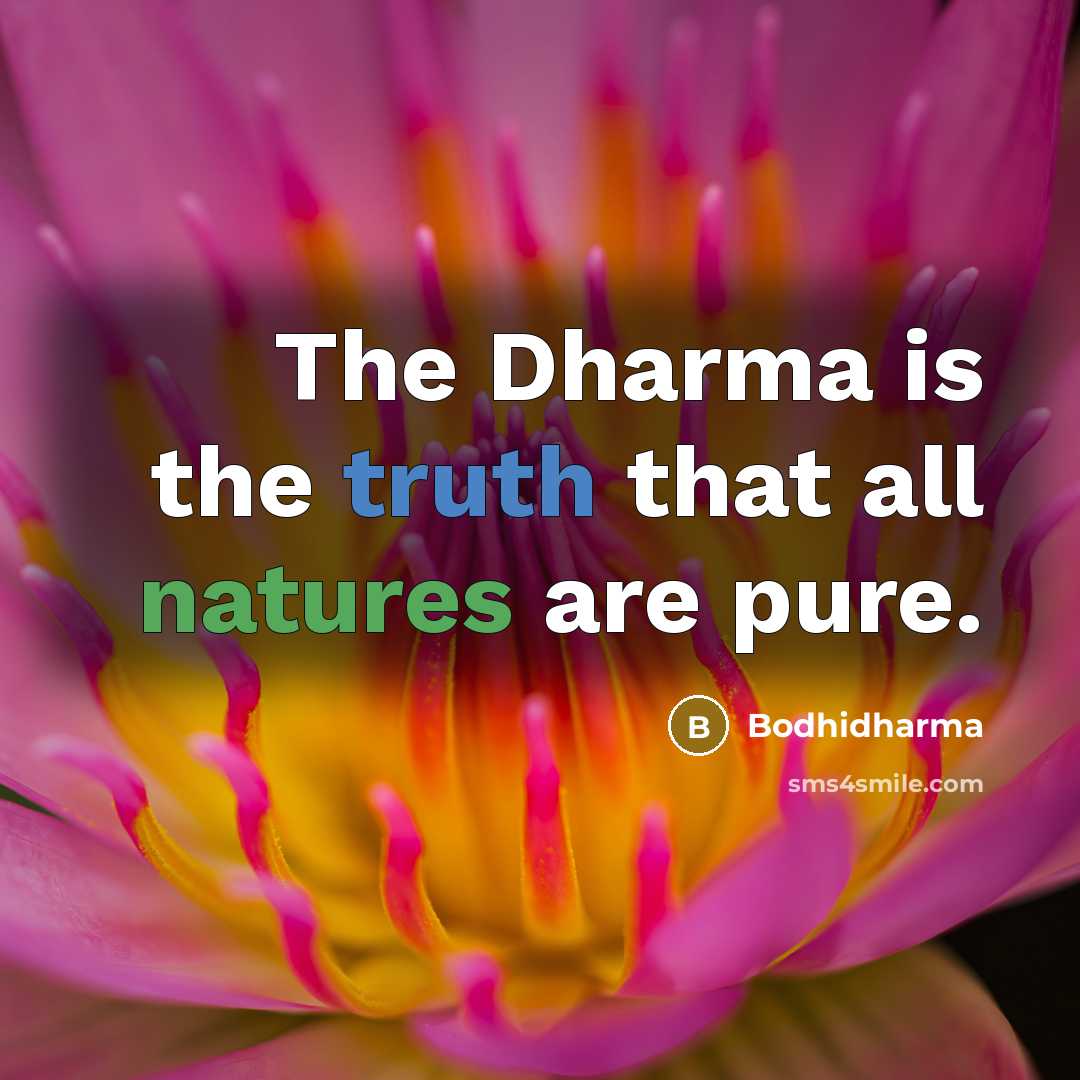 “The Dharma is the truth that all natures are pure.” quote by Bodhidharma