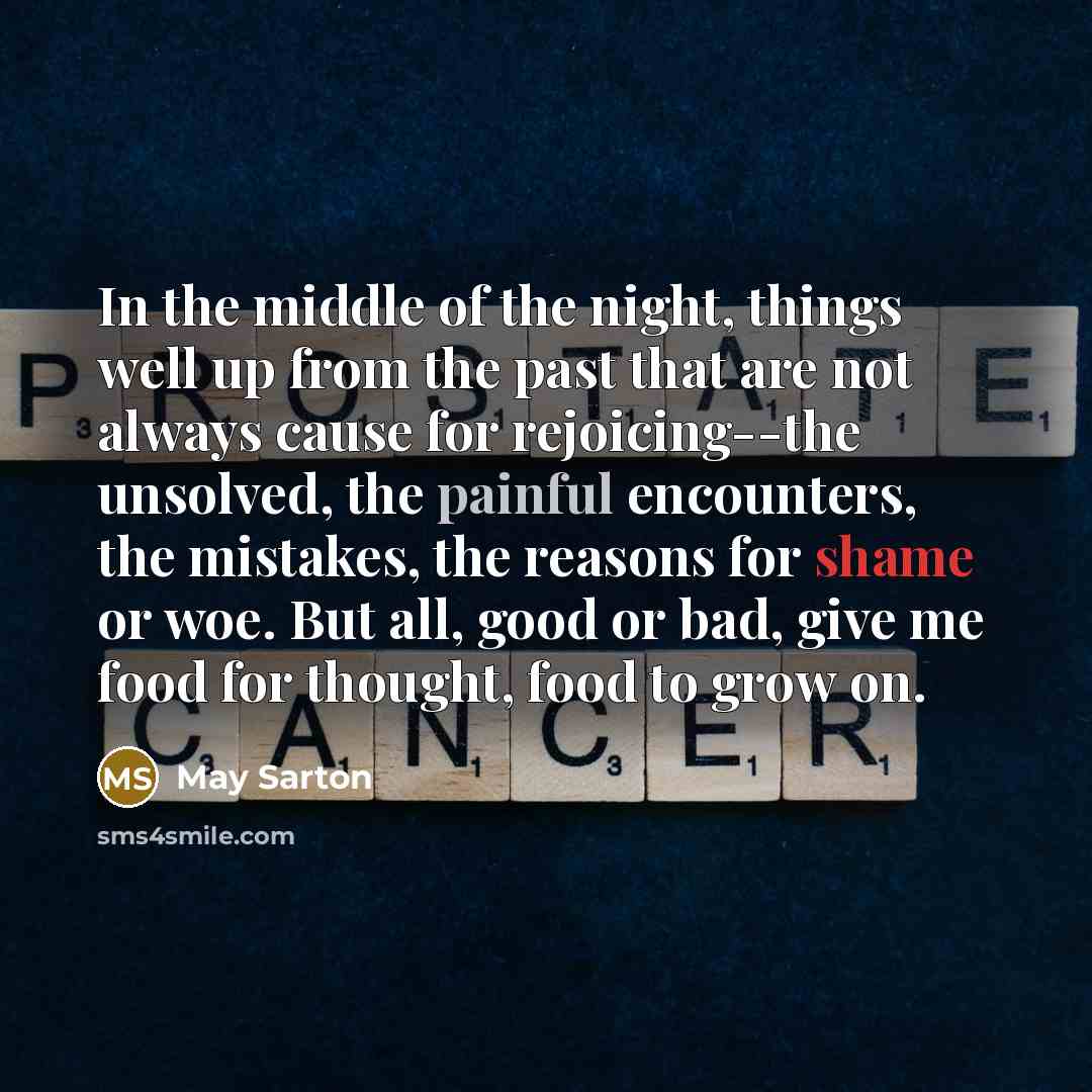 “In the middle of the night, things well up from the past that are not always cause for rejoicing--the unsolved, the painful encounters, the mistakes, the reasons for shame or woe. But all, good or bad, give me food for thought, food to grow on.” quote by May Sarton