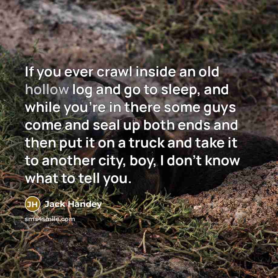 “If you ever crawl inside an old hollow log and go to sleep, and while you're in there some guys come and seal up both ends and then put it on a truck and take it to another city, boy, I don't know what to tell you.” quote by Jack Handey