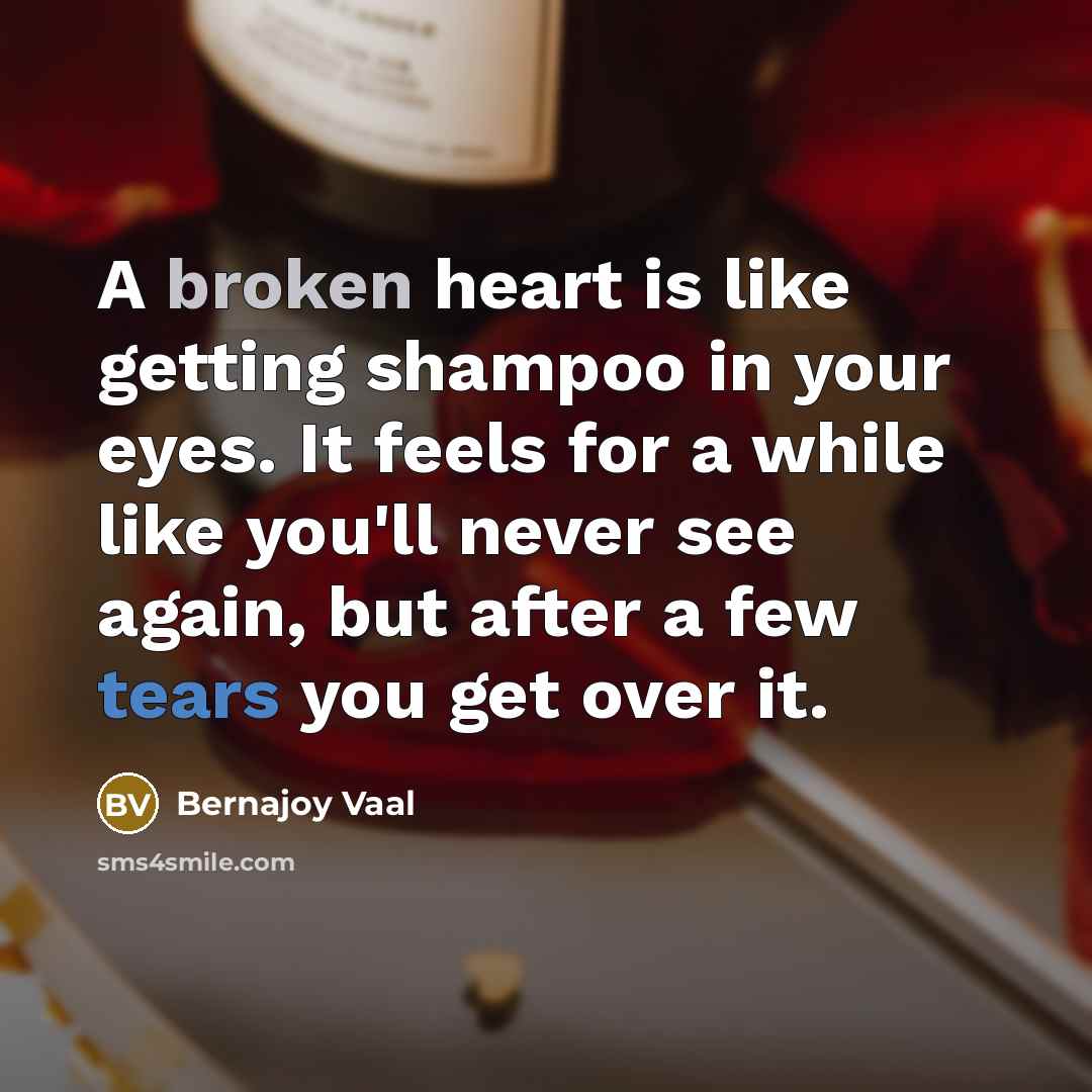 “A broken heart is like getting shampoo in your eyes. It feels for a while like you'll never see again, but after a few tears you get over it.” quote by Bernajoy Vaal
