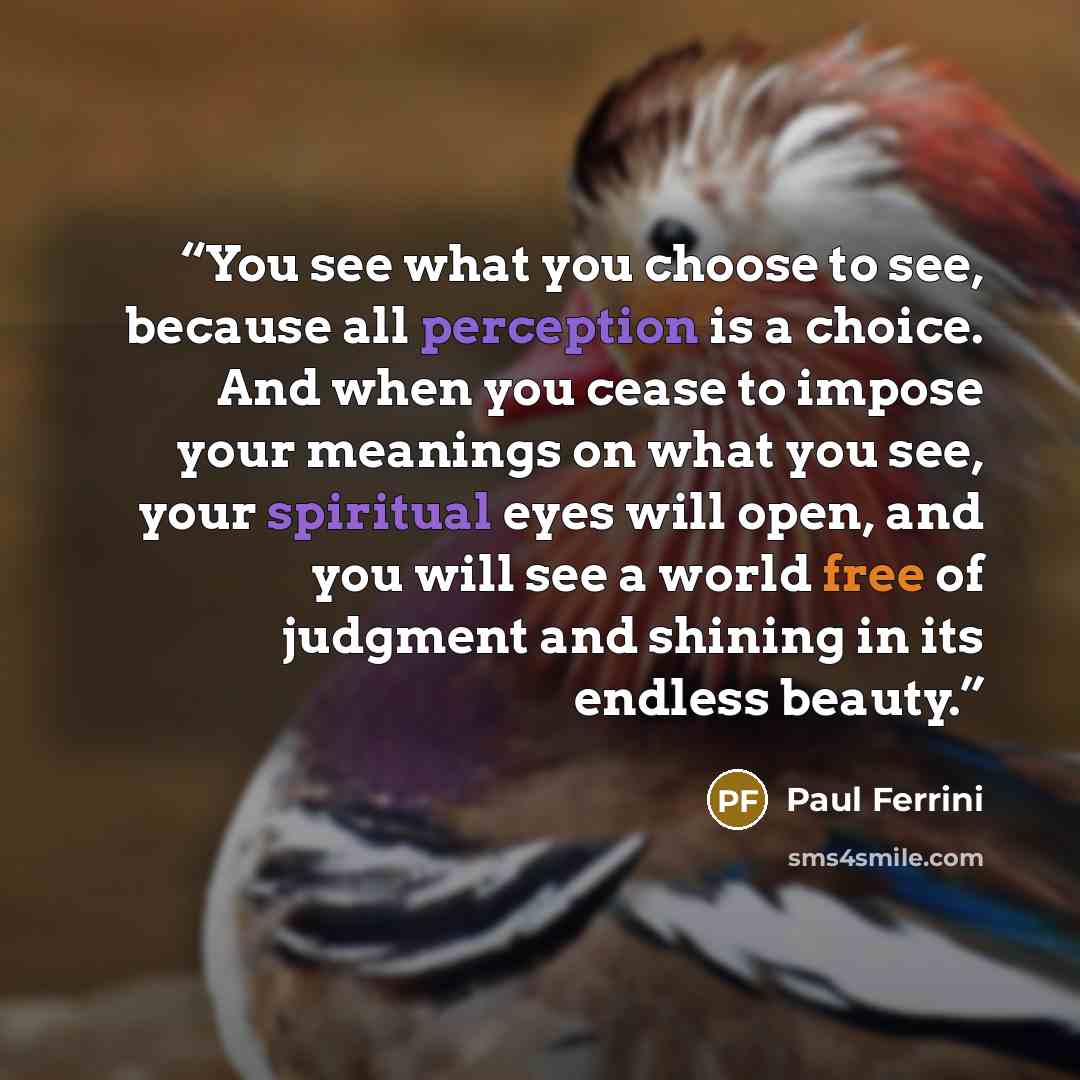 “You see what you choose to see, because all perception is a choice. And when you cease to impose your meanings on what you see, your spiritual eyes will open, and you will see a world free of judgment and shining in its endless beauty.” quote by Paul Ferrini