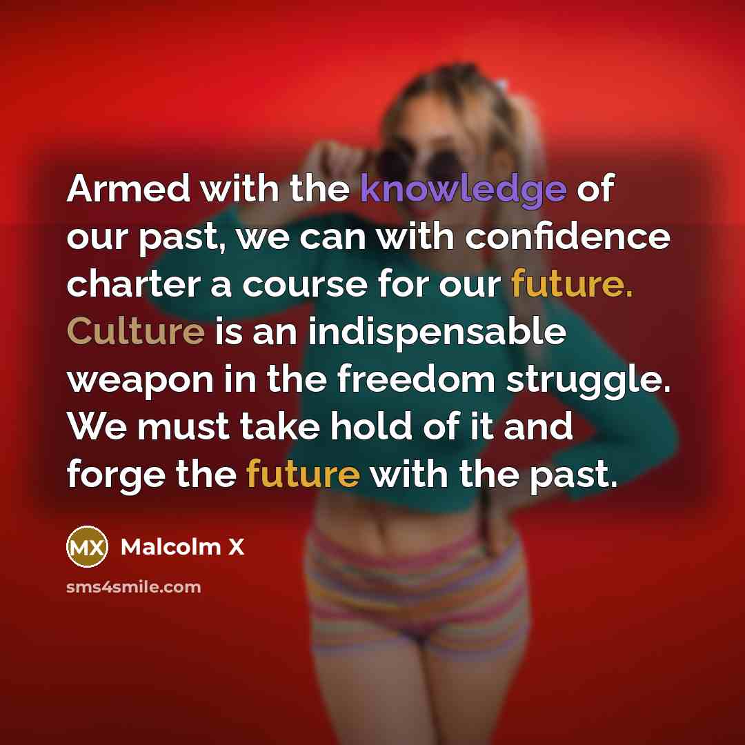 “Armed with the knowledge of our past, we can with confidence charter a course for our future. Culture is an indispensable weapon in the freedom struggle. We must take hold of it and forge the future with the past.” quote by Malcolm X