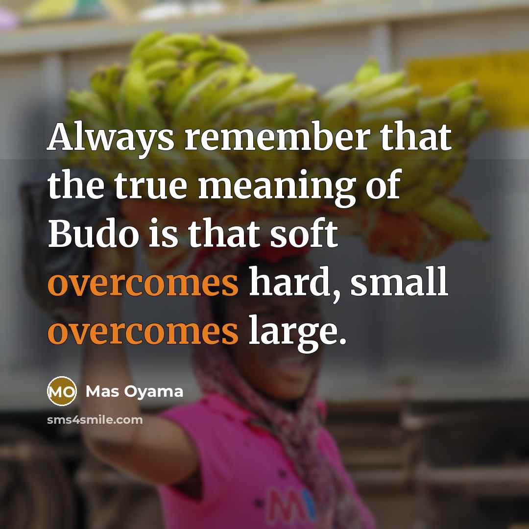 “Always remember that the true meaning of Budo is that soft overcomes hard, small overcomes large.” quote by Mas Oyama