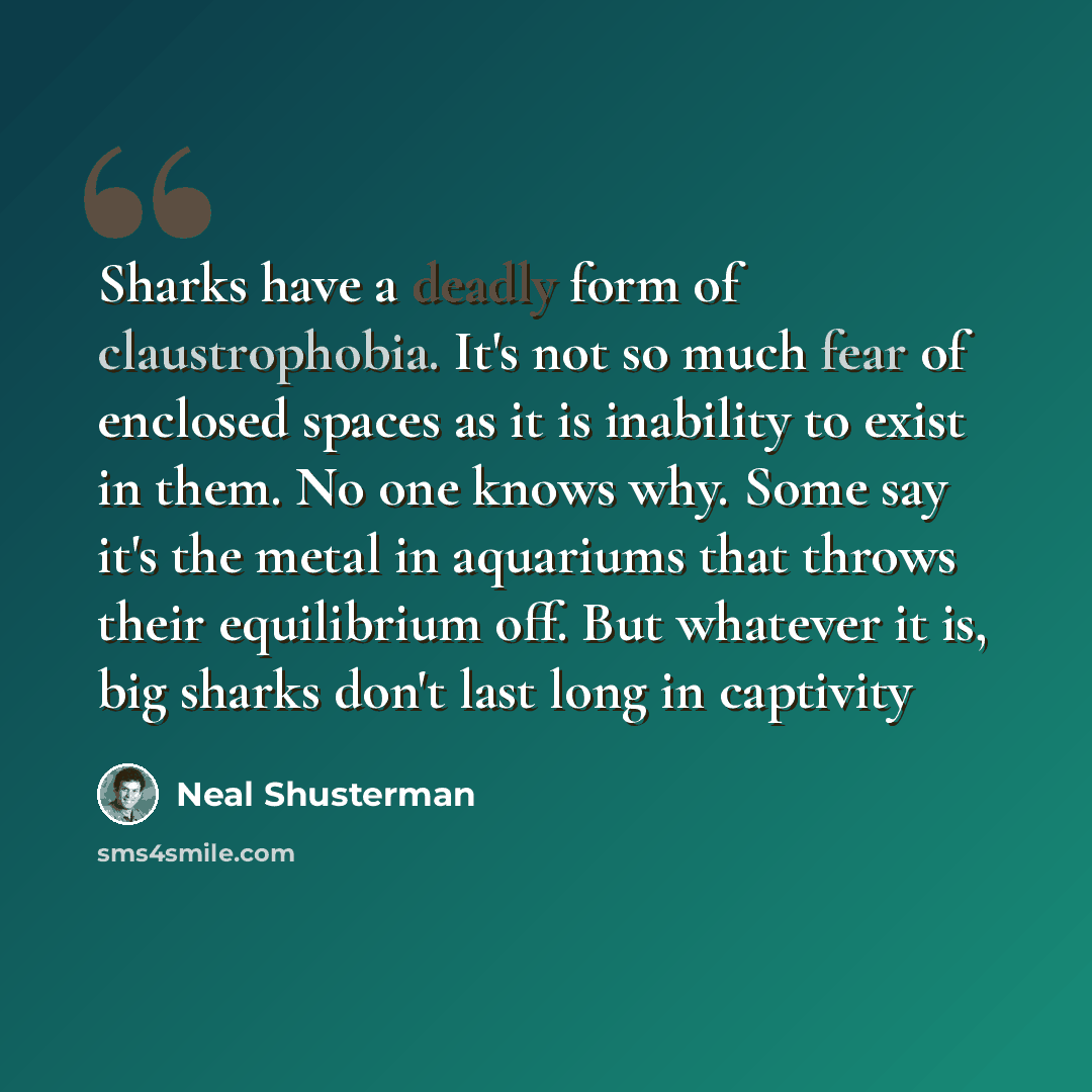 “Sharks have a deadly form of claustrophobia. It's not so much fear of enclosed spaces as it is inability to exist in them. No one knows why. Some say it's the metal in aquariums that throws their equilibrium off. But whatever it is, big sharks don't last long in captivity” quote by Neal Shusterman
