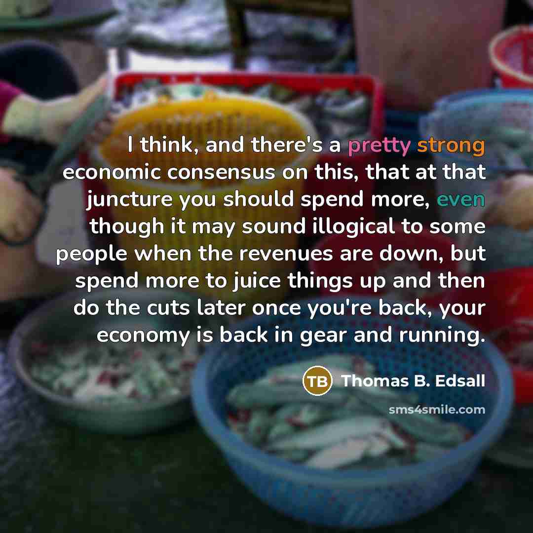 “I think, and there's a pretty strong economic consensus on this, that at that juncture you should spend more, even though it may sound illogical to some people when the revenues are down, but spend more to juice things up and then do the cuts later once you're back, your economy is back in gear…” quote by Thomas B. Edsall