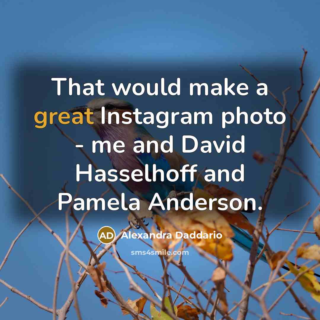 “That would make a great Instagram photo - me and David Hasselhoff and Pamela Anderson.” quote by Alexandra Daddario
