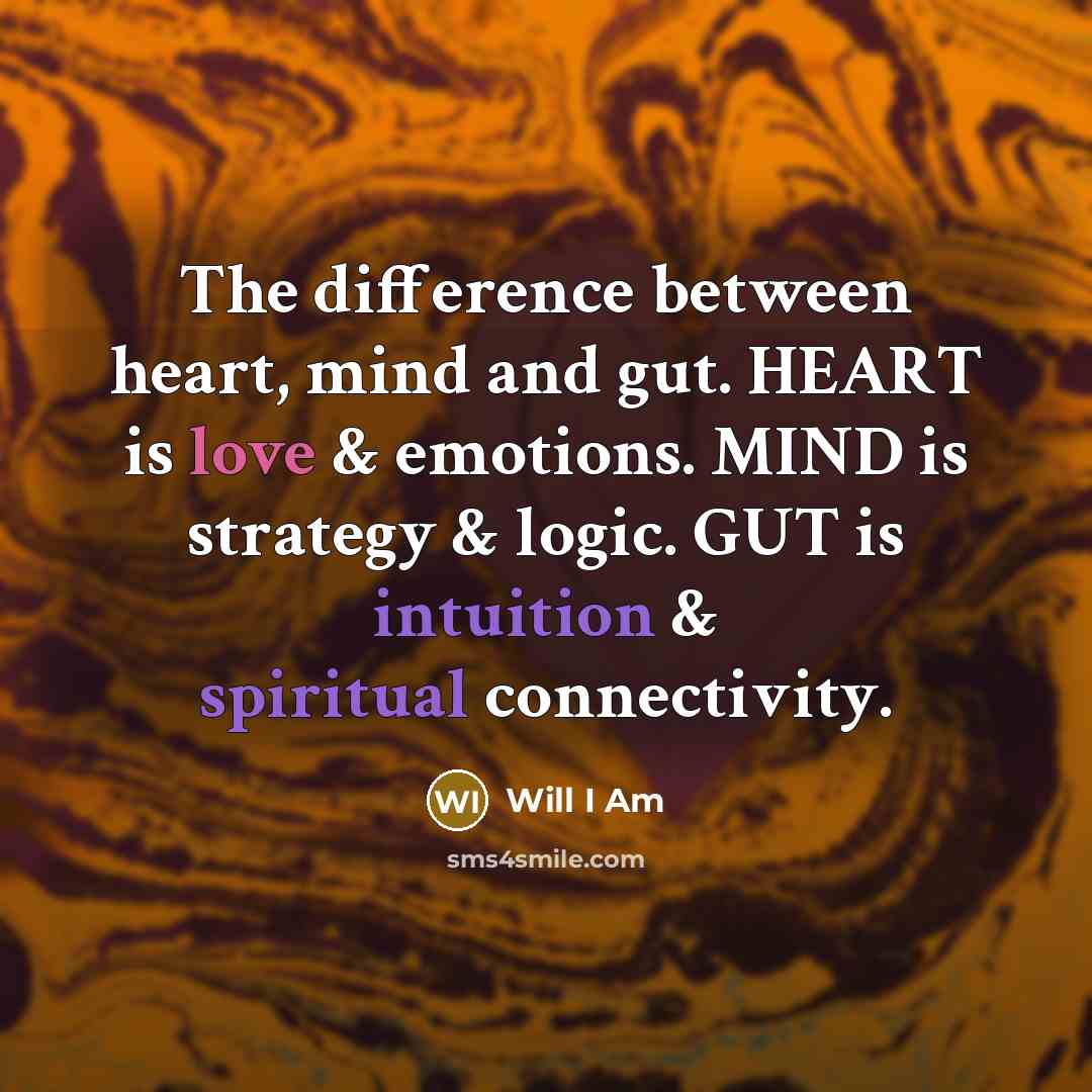 “The difference between heart, mind and gut. HEART is love & emotions. MIND is strategy & logic. GUT is intuition & spiritual connectivity.” quote by Will I Am