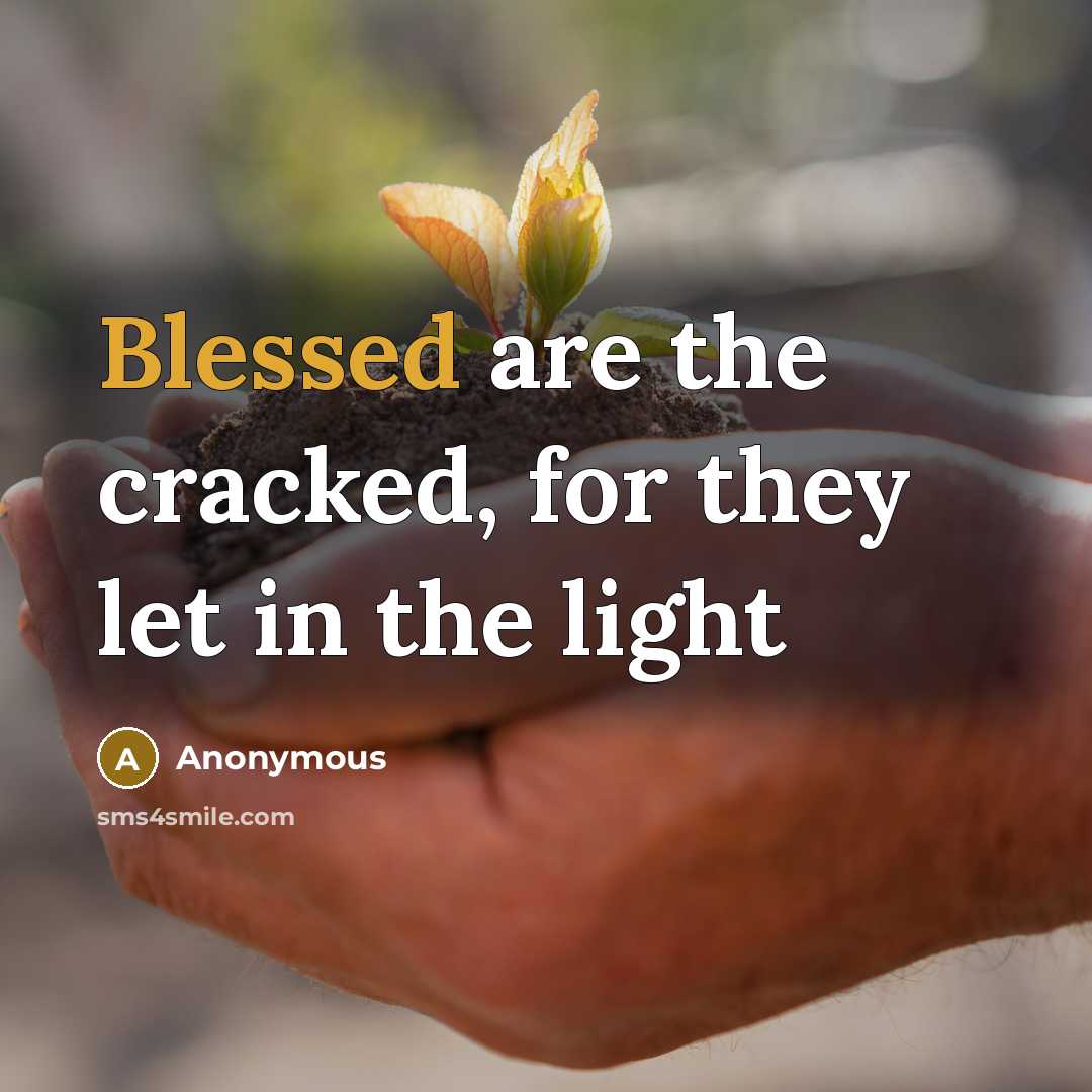 “Blessed are the cracked, for they let in the light” quote by Anonymous