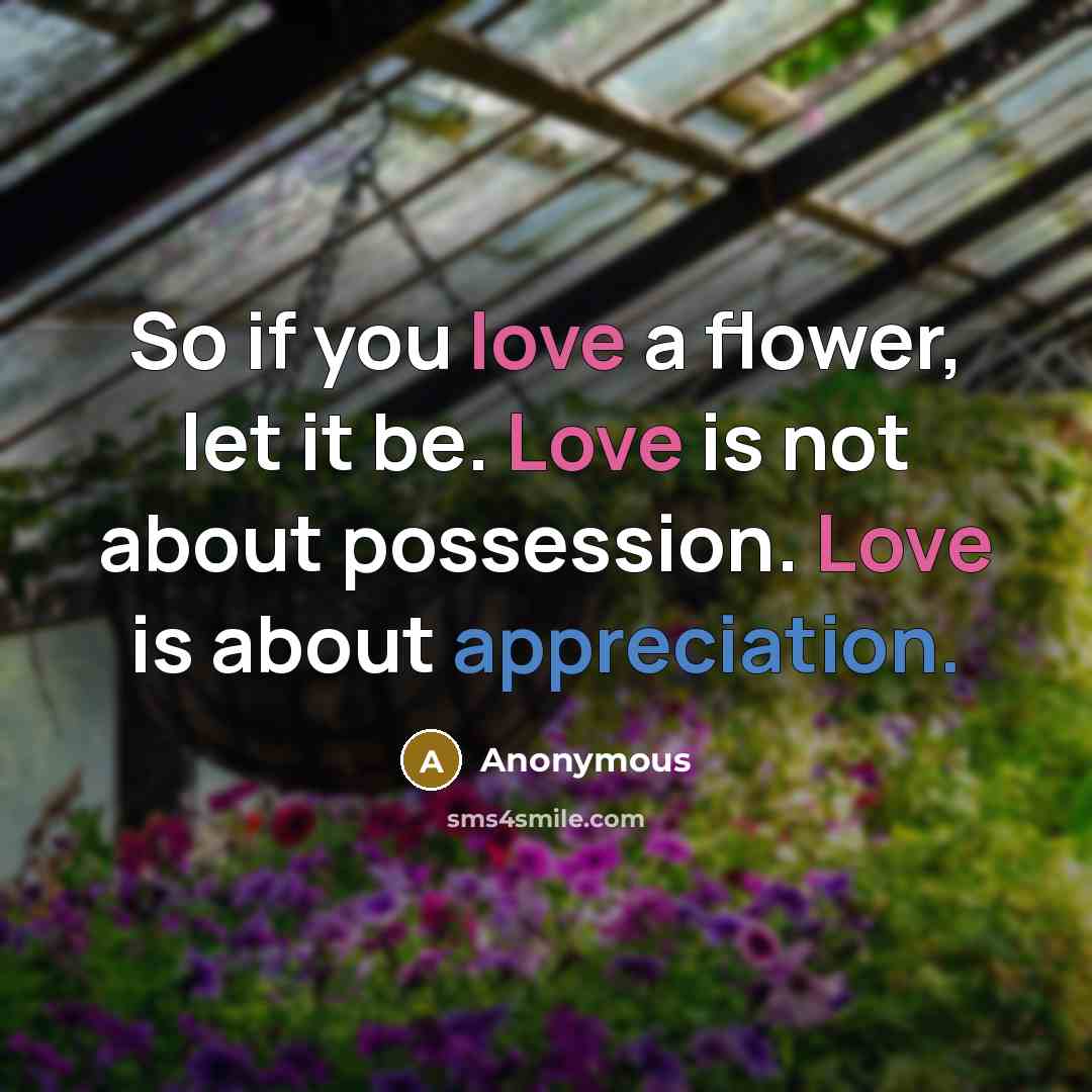 “So if you love a flower, let it be. Love is not about possession. Love is about appreciation.” quote by Anonymous