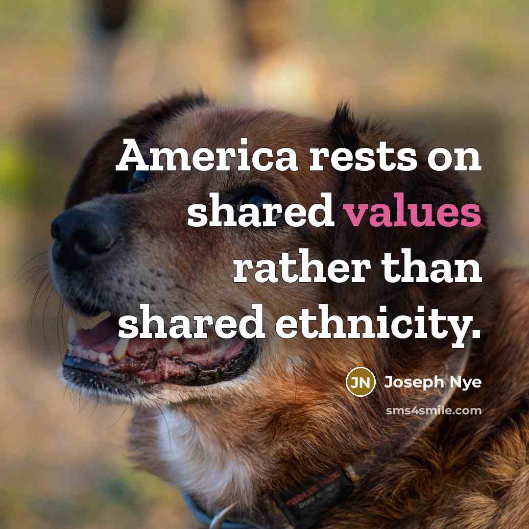 “America rests on shared values rather than shared ethnicity.” quote by Joseph Nye
