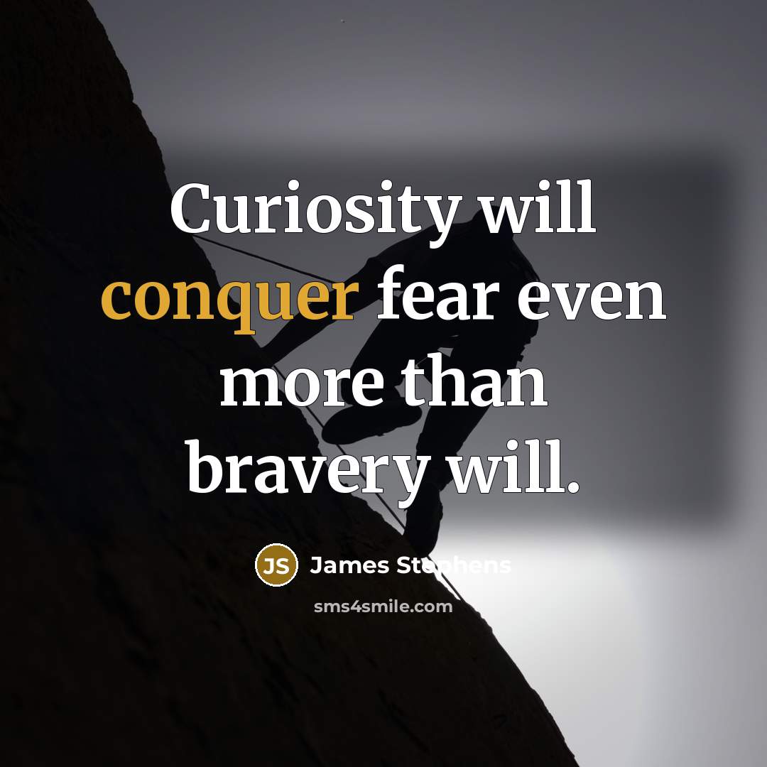 “Curiosity will conquer fear even more than bravery will.” quote by James Stephens
