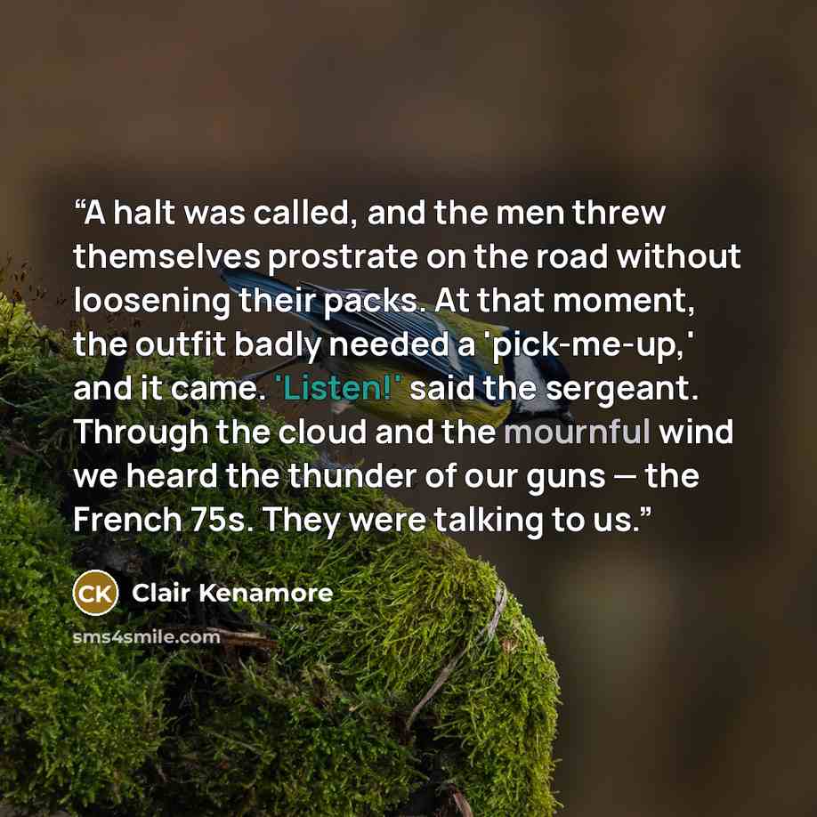 “A halt was called, and the men threw themselves prostrate on the road without loosening their packs. At that moment, the outfit badly needed a 'pick-me-up,' and it came. 'Listen!' said the sergeant. Through the cloud and the mournful wind we heard the thunder of our guns — the French 75s. They…” quote by Clair Kenamore