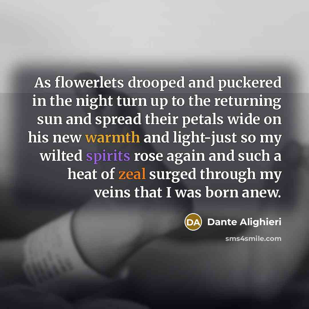 “As flowerlets drooped and puckered in the night turn up to the returning sun and spread their petals wide on his new warmth and light-just so my wilted spirits rose again and such a heat of zeal surged through my veins that I was born anew.” quote by Dante Alighieri