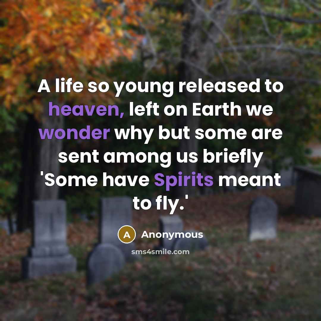 “A life so young released to heaven, left on Earth we wonder why but some are sent among us briefly 'Some have Spirits meant to fly.'” quote by Anonymous