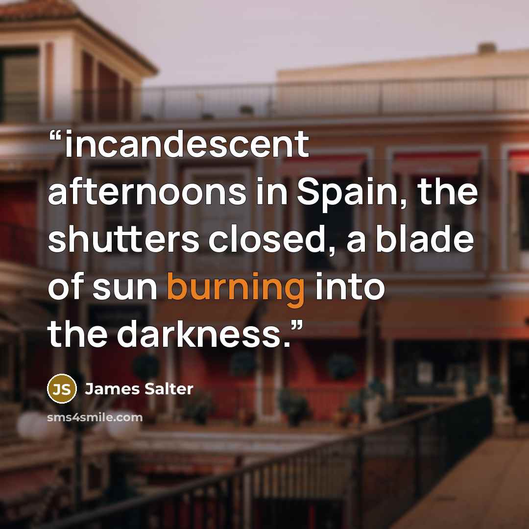 “incandescent afternoons in Spain, the shutters closed, a blade of sun burning into the darkness.” quote by James Salter