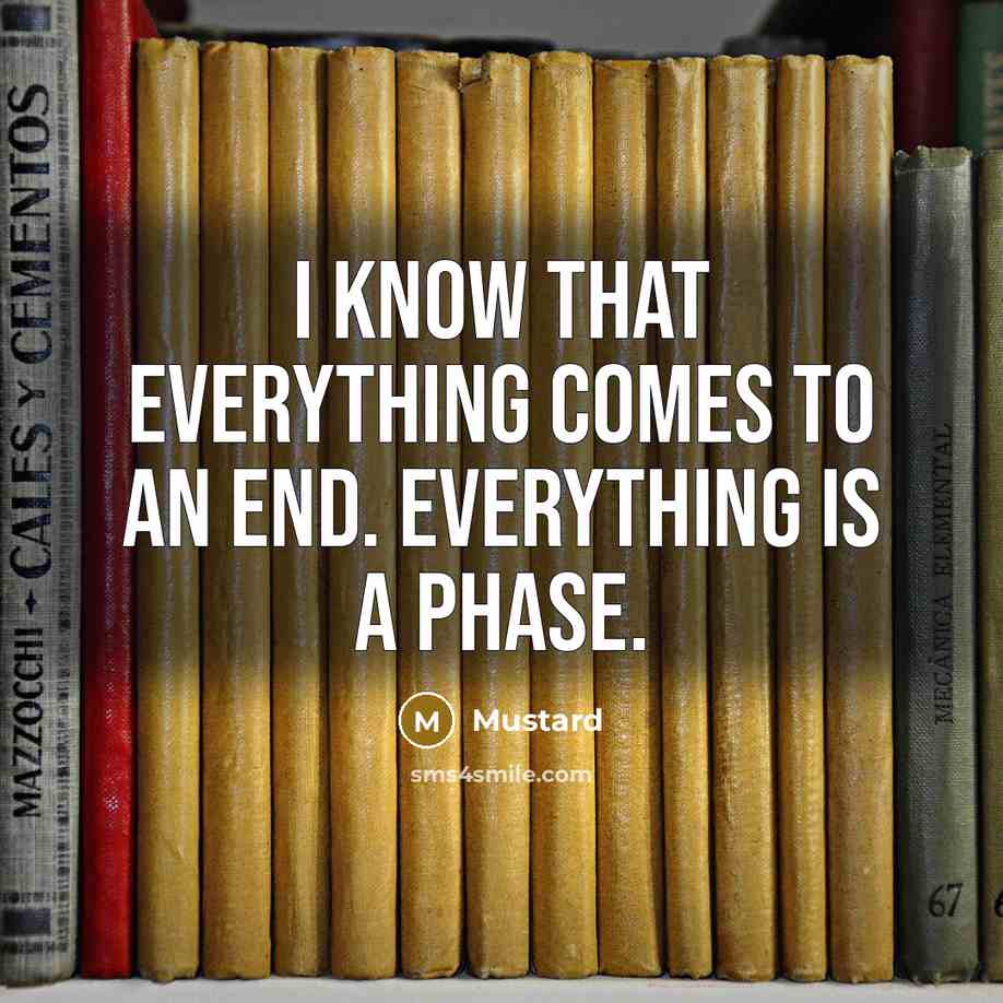 “I know that everything comes to an end. Everything is a phase.” quote by Mustard