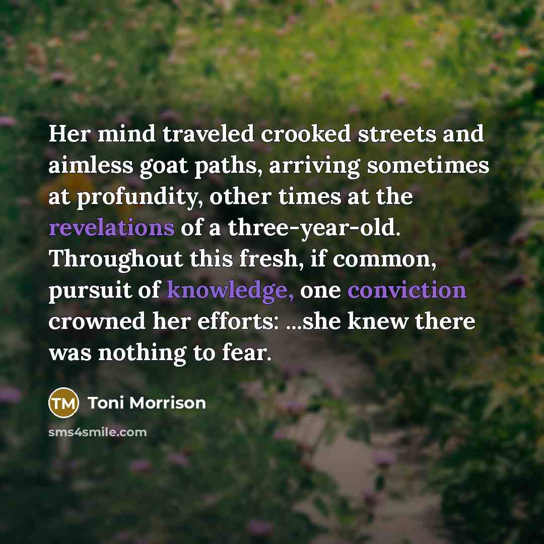 “Her mind traveled crooked streets and aimless goat paths, arriving sometimes at profundity, other times at the revelations of a three-year-old. Throughout this fresh, if common, pursuit of knowledge, one conviction crowned her efforts: ...she knew there was nothing to fear.” quote by Toni Morrison