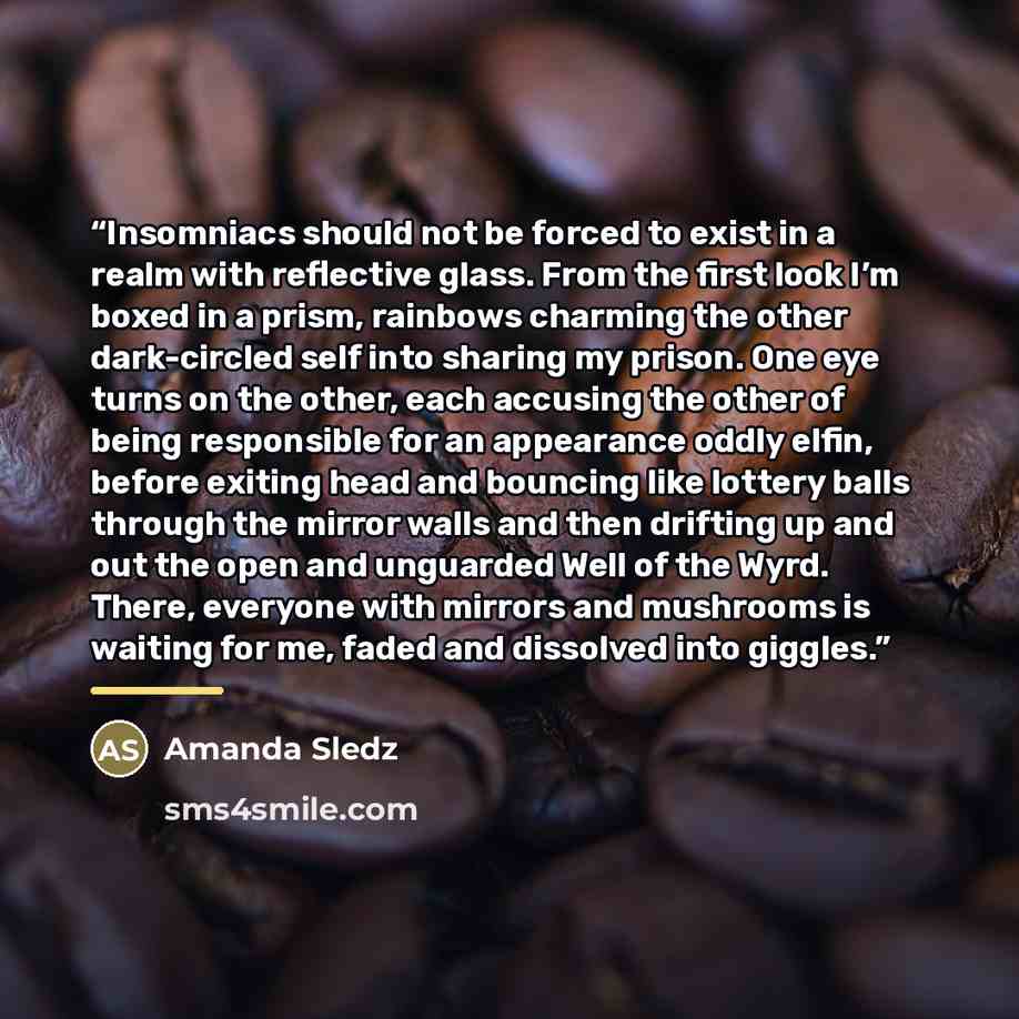 “Insomniacs should not be forced to exist in a realm with reflective glass. From the first look I’m boxed in a prism, rainbows charming the other dark-circled self into sharing my prison. One eye turns on the other, each accusing the other of being responsible for an appearance oddly elfin, before…” quote by Amanda Sledz
