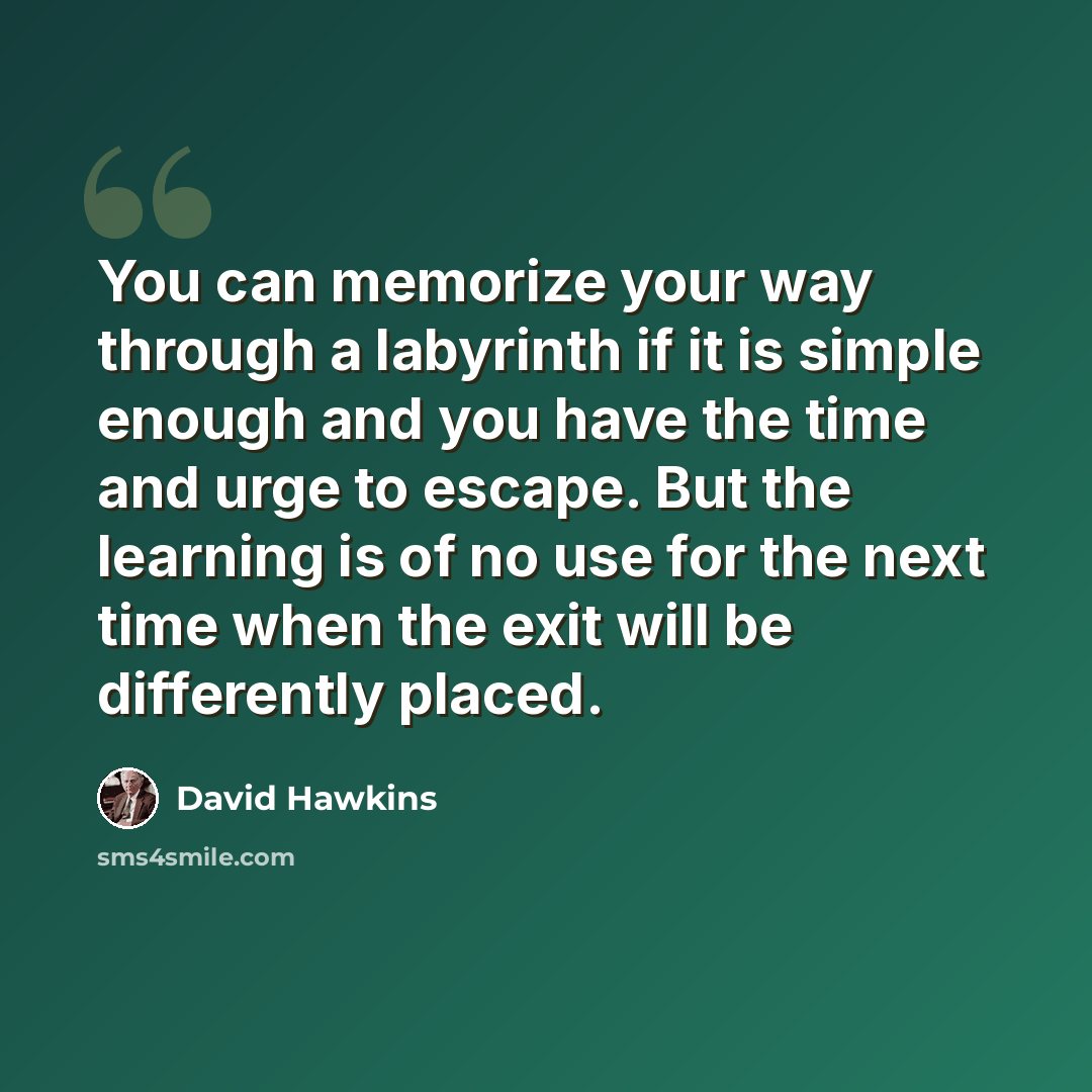 “You can memorize your way through a labyrinth if it is simple enough and you have the time and urge to escape. But the learning is of no use for the next time when the exit will be differently placed.” quote by David Hawkins