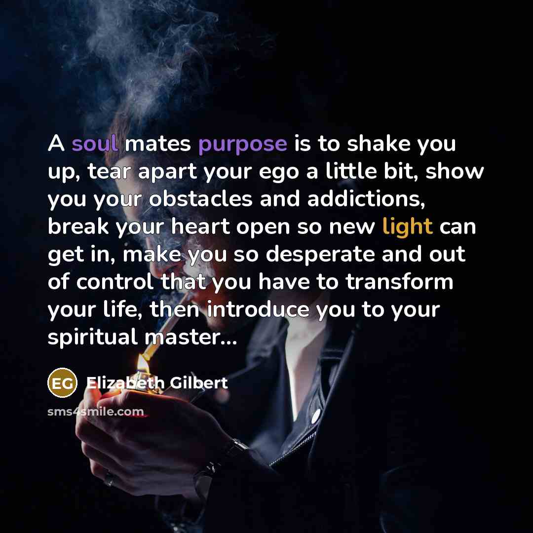 “A soul mates purpose is to shake you up, tear apart your ego a little bit, show you your obstacles and addictions, break your heart open so new light can get in, make you so desperate and out of control that you have to transform your life, then introduce you to your spiritual master...” quote by Elizabeth Gilbert