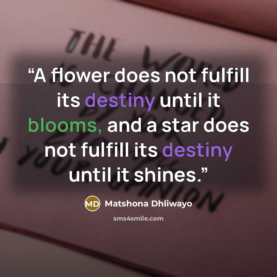 “A flower does not fulfill its destiny until it blooms, and a star does not fulfill its destiny until it shines.” quote by Matshona Dhliwayo