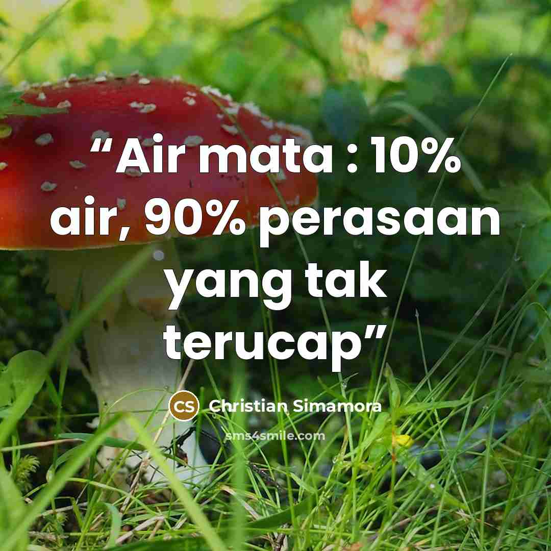 “Air mata : 10% air, 90% perasaan yang tak terucap” quote by Christian Simamora