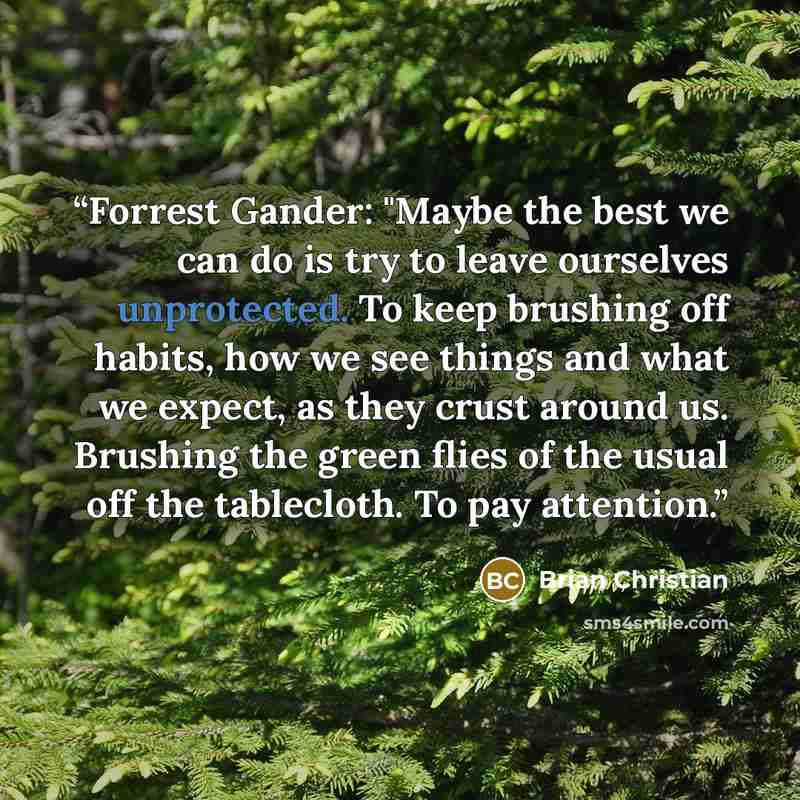 “Forrest Gander: "Maybe the best we can do is try to leave ourselves unprotected. To keep brushing off habits, how we see things and what we expect, as they crust around us. Brushing the green flies of the usual off the tablecloth. To pay attention.” quote by Brian Christian